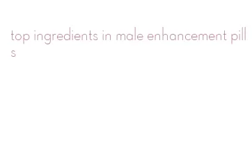 top ingredients in male enhancement pills