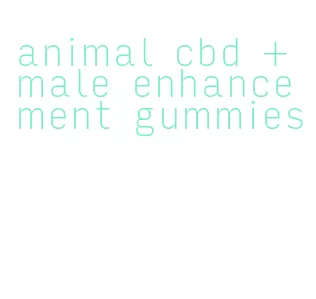 animal cbd + male enhancement gummies