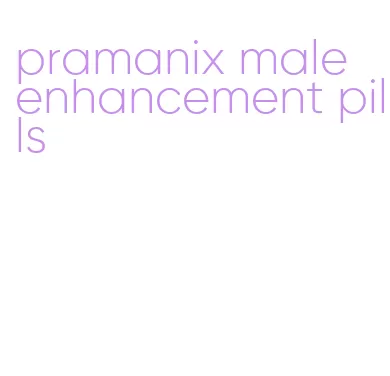 pramanix male enhancement pills