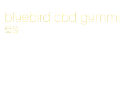bluebird cbd gummies